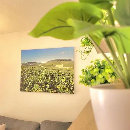 Cozy Pool View Of Cite Des Vins 博讷