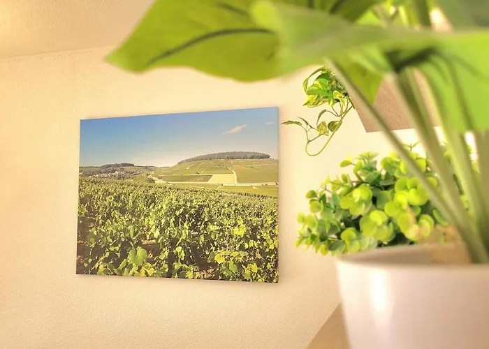 Cozy Pool View Of Cite Des Vins 博讷